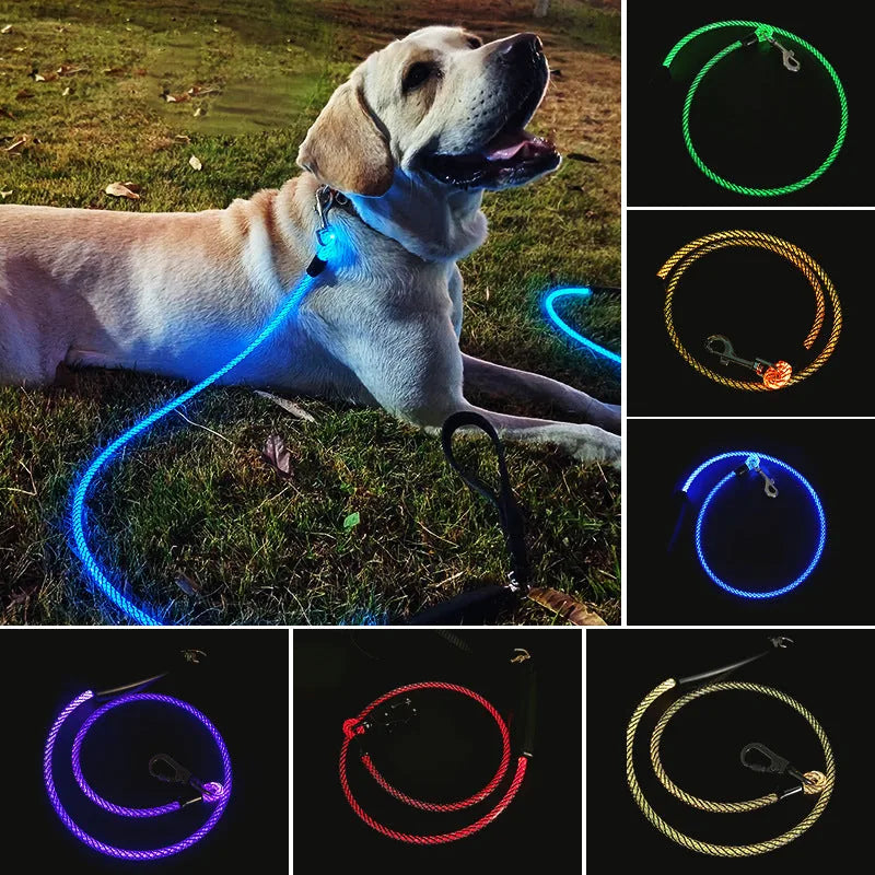 Light-Up Pet Leash — product view 3