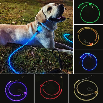 Light-Up Pet Leash — product view 3