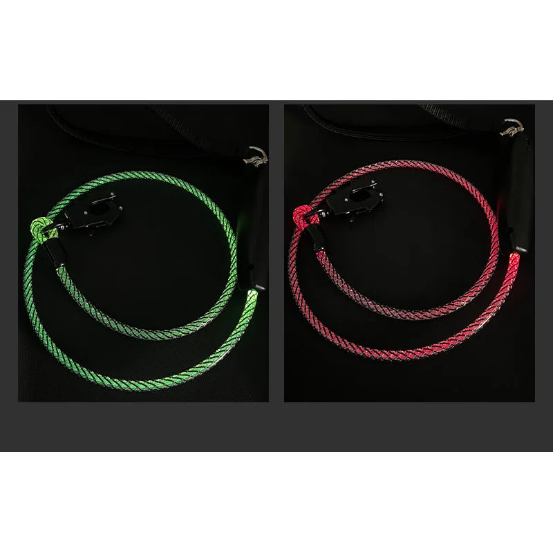 Light-Up Pet Leash — product view 5