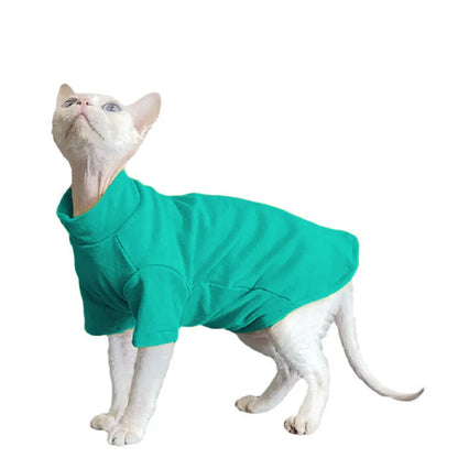 Solid Color Cat Turtleneck — Lake Blue