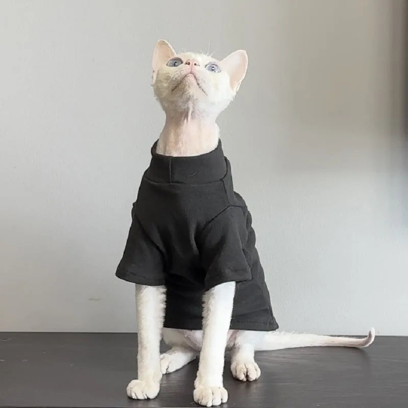 Solid Color Cat Turtleneck — product view 11