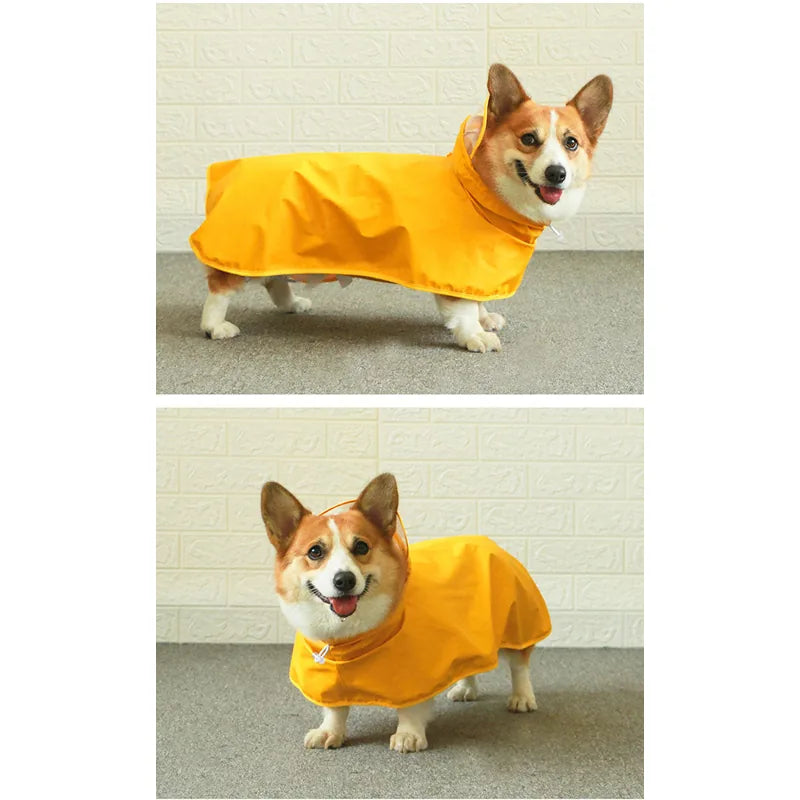 Hooded Dog Rain Cape — product view 5