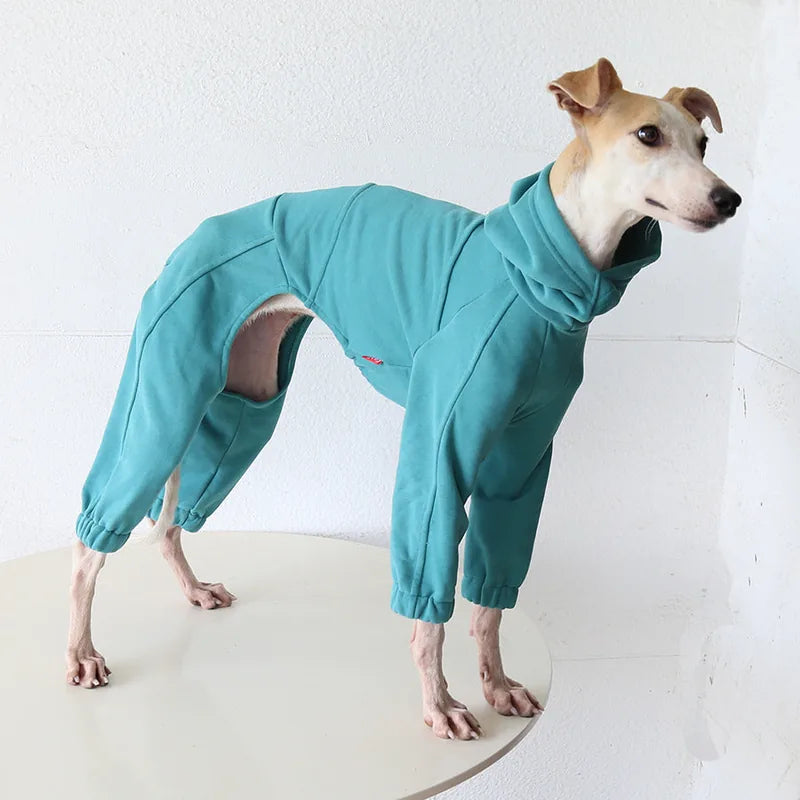 Greyhound & Whippet Sport Onesie — product view 1