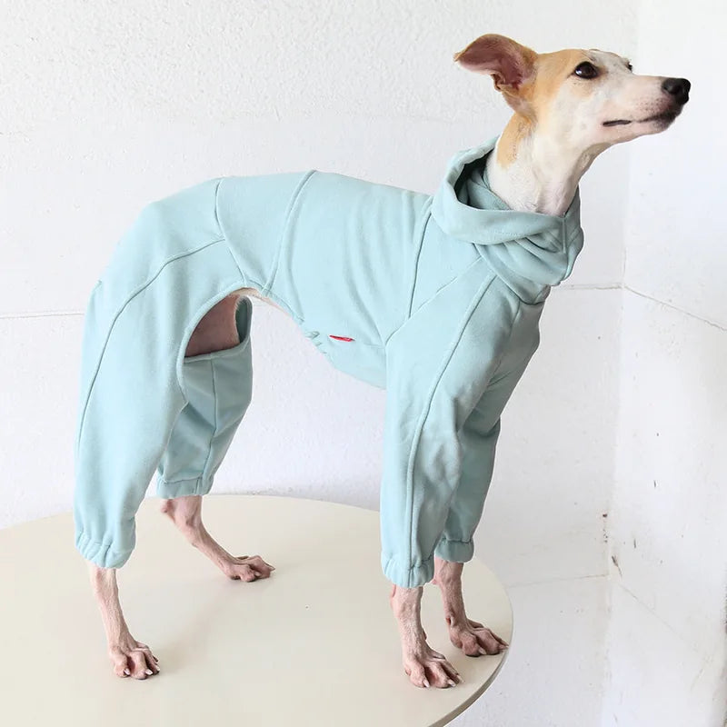 Greyhound & Whippet Sport Onesie — product view 3