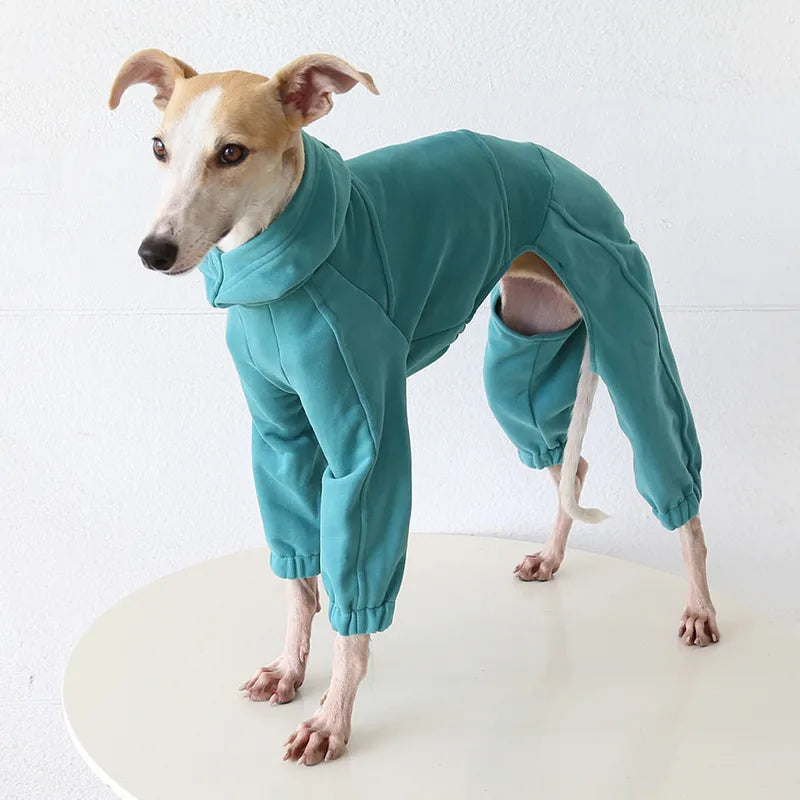 Greyhound & Whippet Sport Onesie — Turquoise