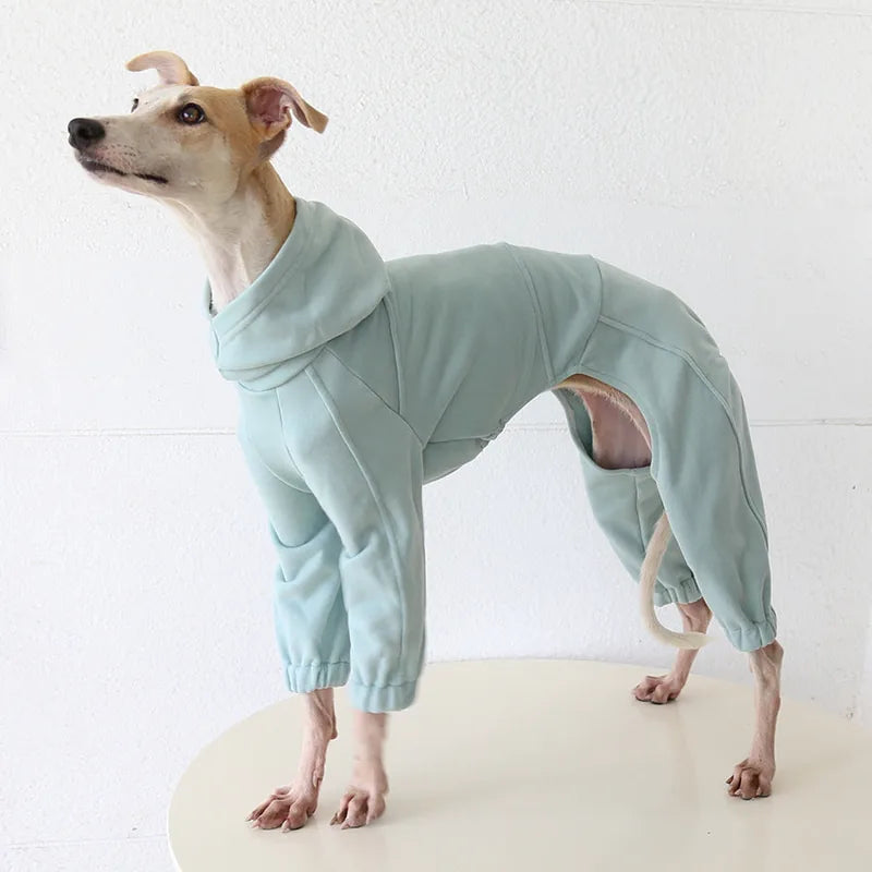 Greyhound & Whippet Sport Onesie — Mint