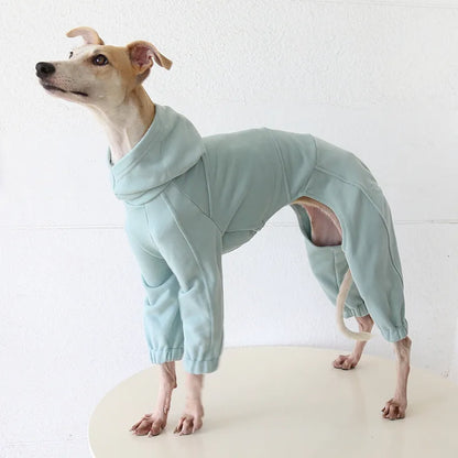 Greyhound & Whippet Sport Onesie — Mint