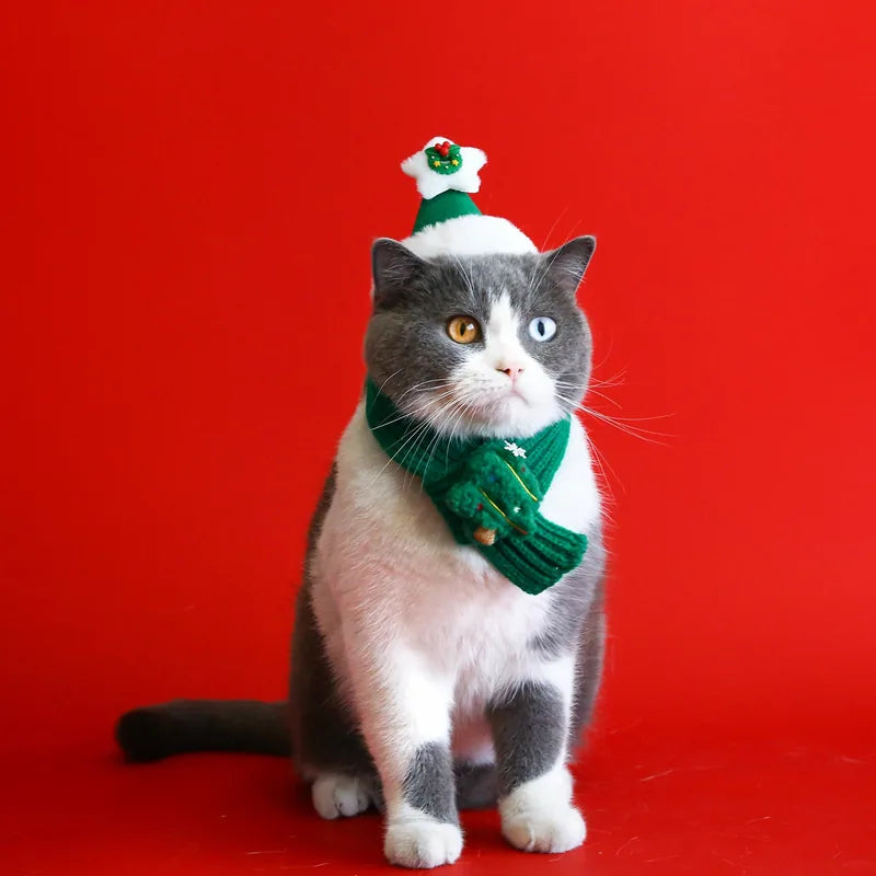 Christmas Knit Pet Scarves & Hats — product view 14