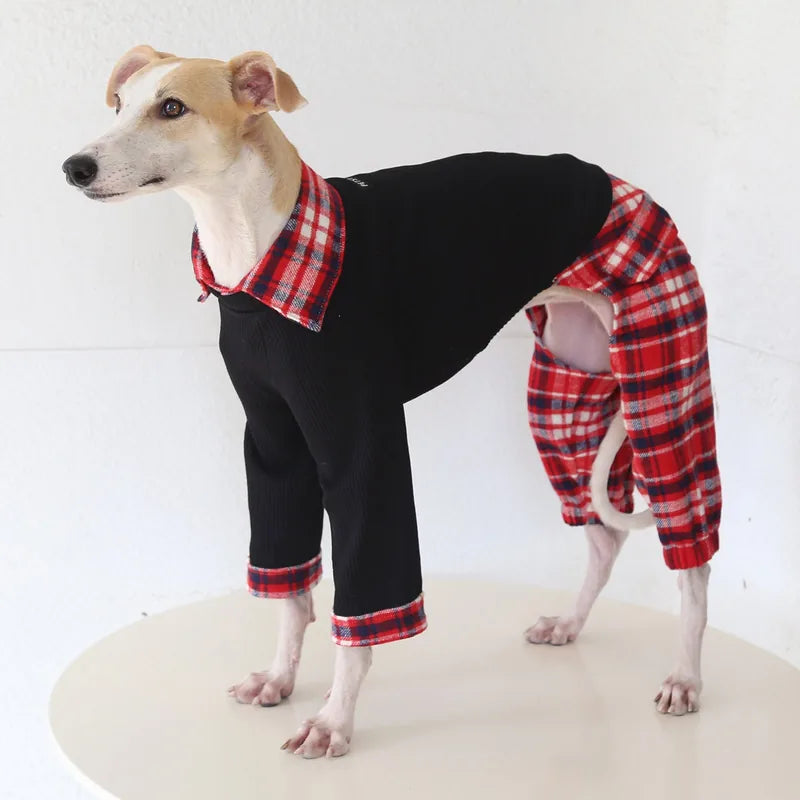 Contrast Plaid Onesie for Italian Greyhounds & Whippets — product view 3