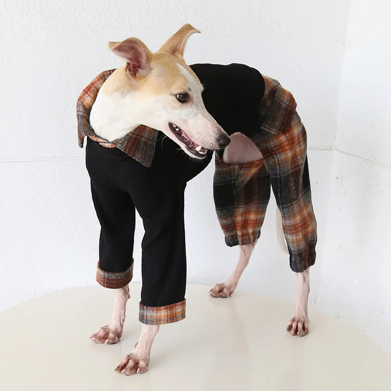 Contrast Plaid Onesie for Italian Greyhounds & Whippets — product view 6