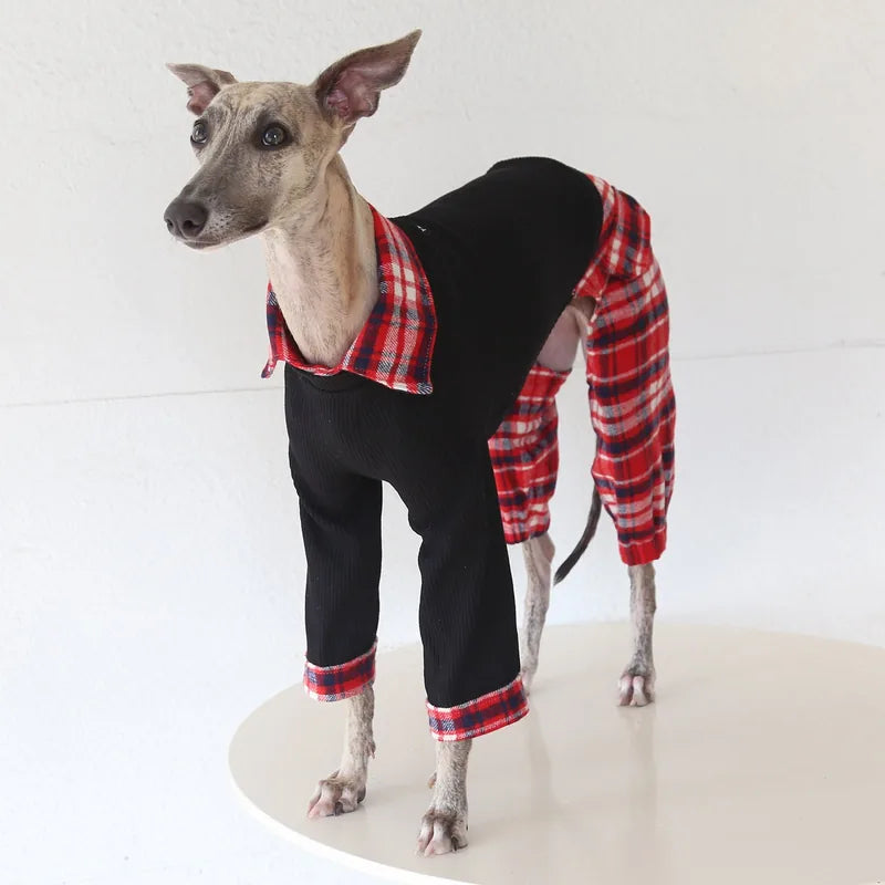 Contrast Plaid Onesie for Italian Greyhounds & Whippets — product view 7