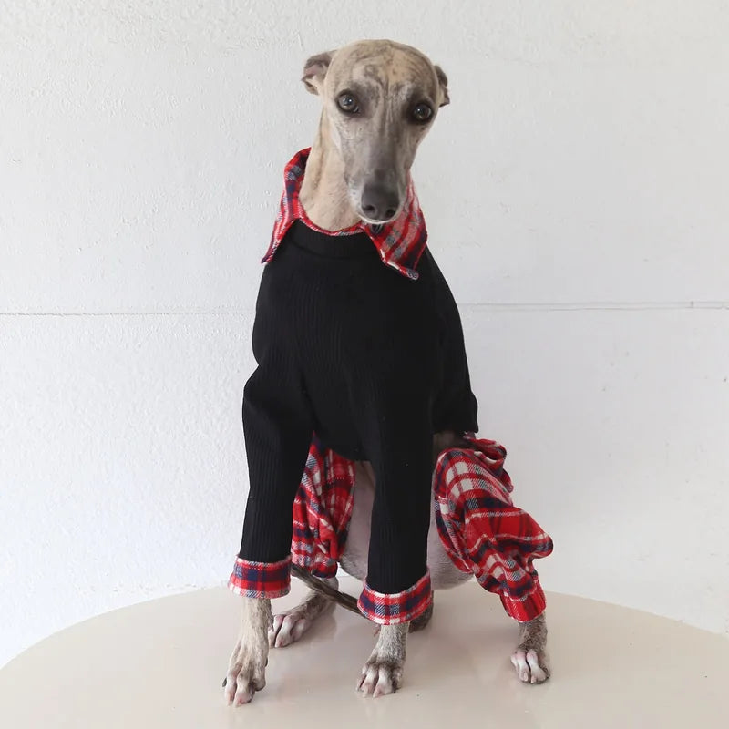 Contrast Plaid Onesie for Italian Greyhounds & Whippets — product view 8