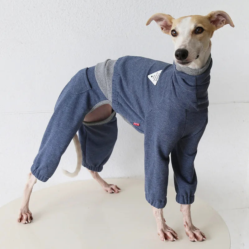 Layered-Look Onesie for Italian Greyhounds & Whippets — product view 1