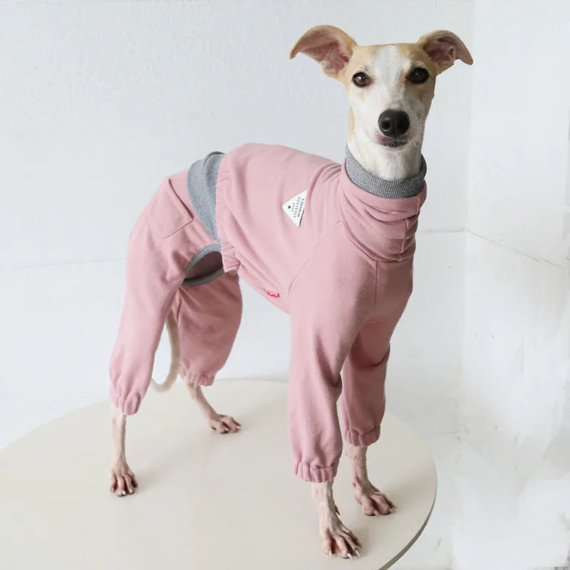 Layered-Look Onesie for Italian Greyhounds & Whippets — product view 3
