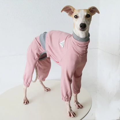 Layered-Look Onesie for Italian Greyhounds & Whippets — product view 3