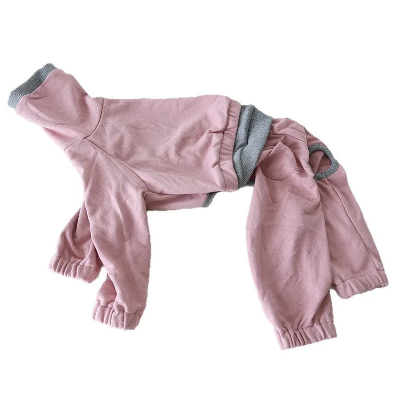 Layered-Look Onesie for Italian Greyhounds & Whippets — product view 7