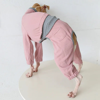 Layered-Look Onesie for Italian Greyhounds & Whippets — product view 8