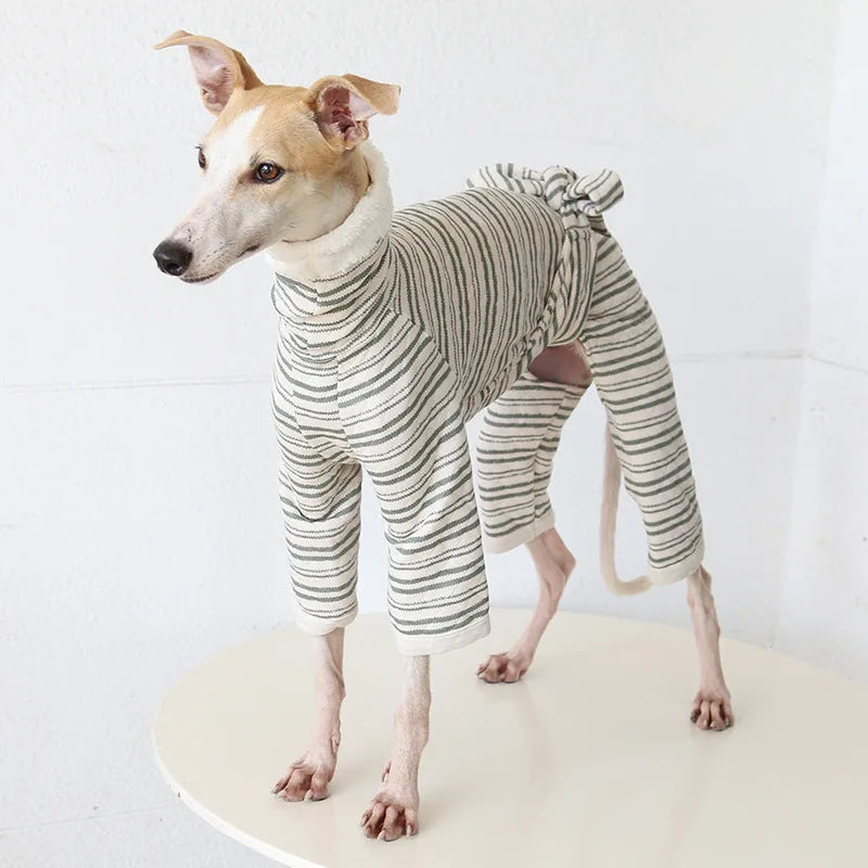Striped Tie-Back Onesie for Italian Greyhounds & Whippets — product view 1