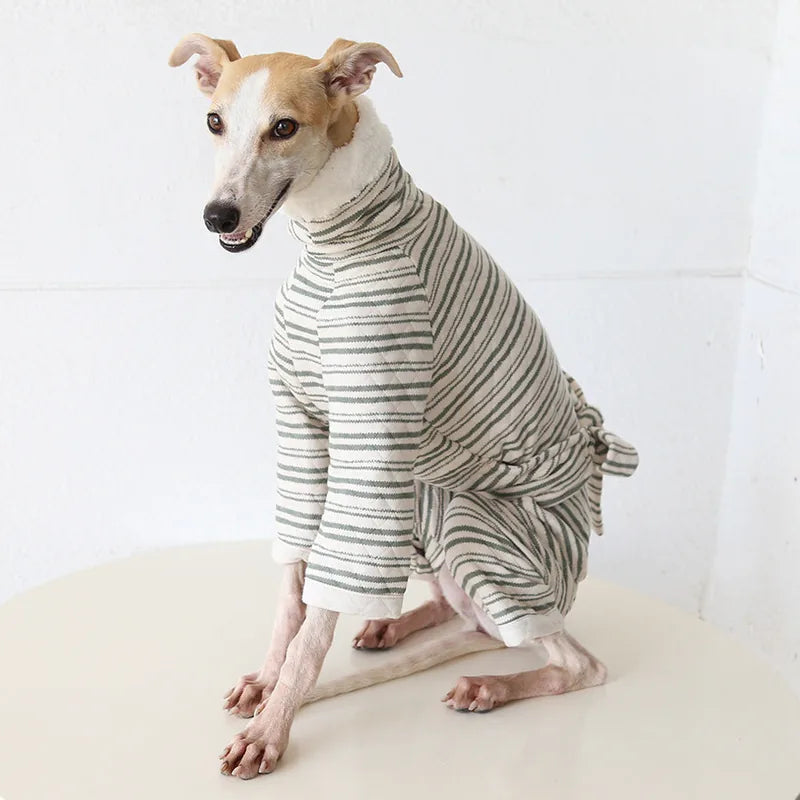 Striped Tie-Back Onesie for Italian Greyhounds & Whippets — product view 2
