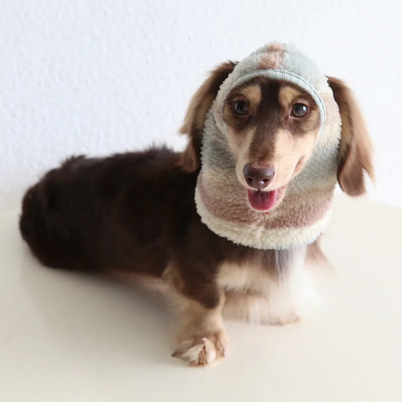 Sunset Pet Onesie & Hat — product view 8