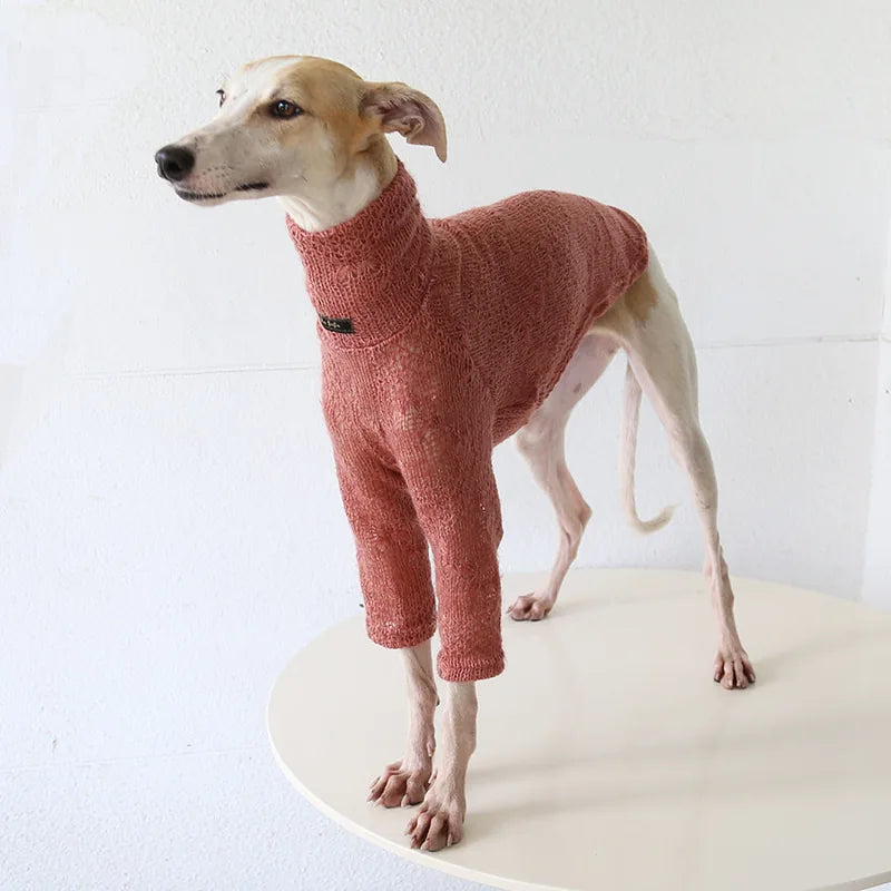 Vintage Knit Sweater for Italian Greyhounds & Whippets — product view 4