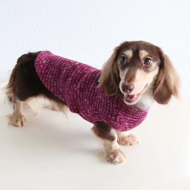 Striped Pet Sweater for Dogs & Cats — product view 1