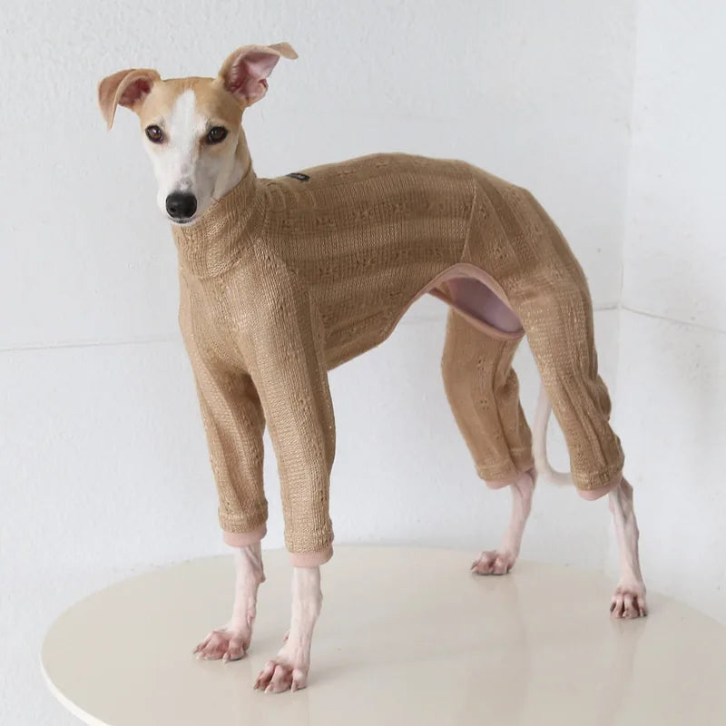 Retro Knit Onesie for Italian Greyhounds & Whippets — product view 3