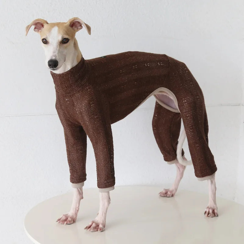 Retro Knit Onesie for Italian Greyhounds & Whippets — product view 5