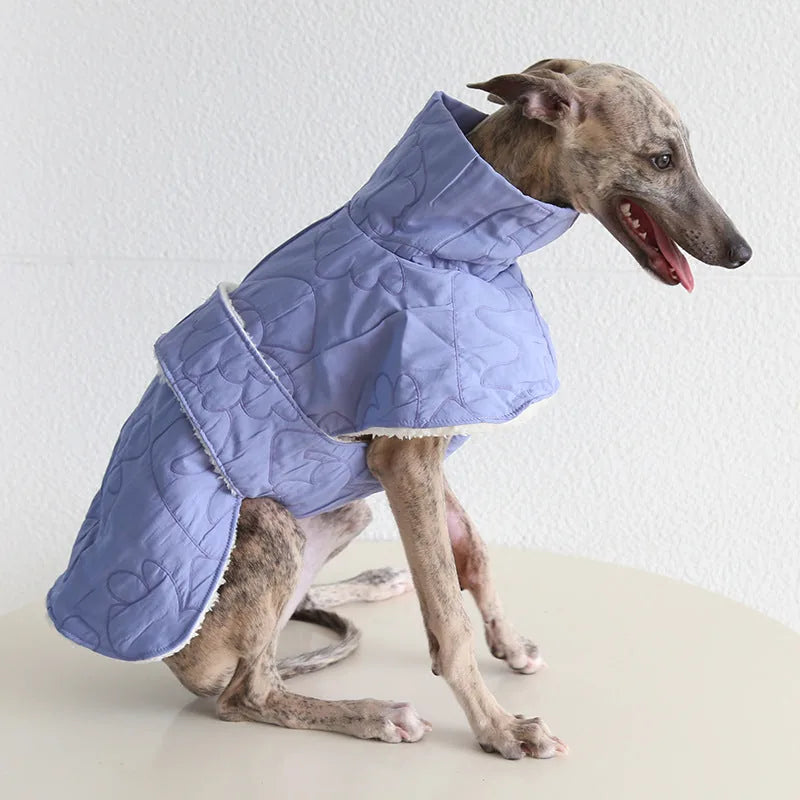 Hook-and-Loop Cape for Italian Greyhounds & Whippets — product view 3