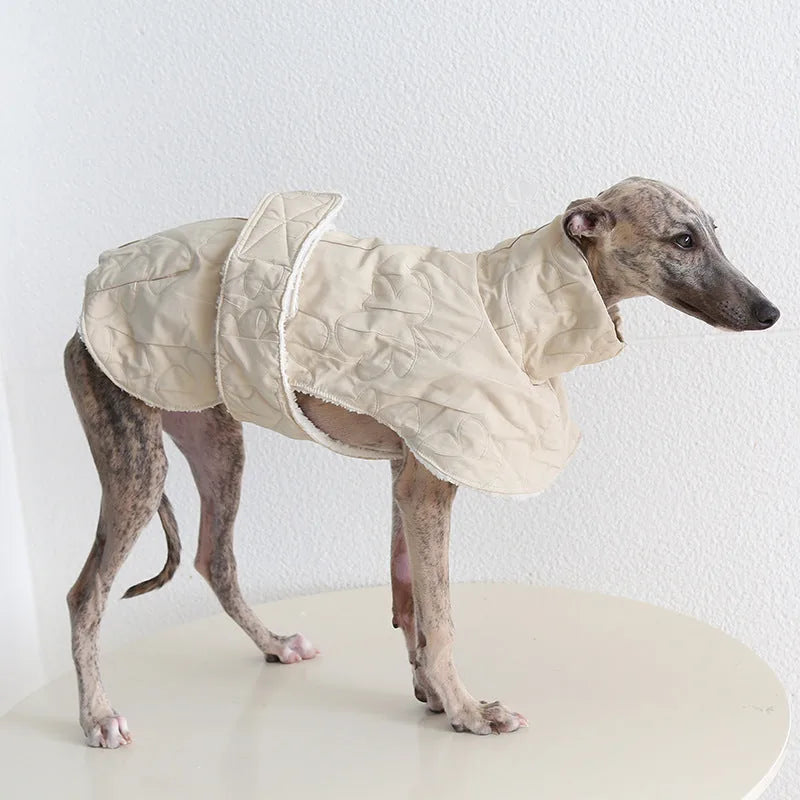 Hook-and-Loop Cape for Italian Greyhounds & Whippets — product view 2