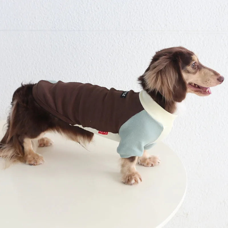 Colorblock Pet Shirt for Dogs & Cats — product view 3