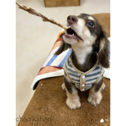 Striped Fleece Dog Vest — product view 3