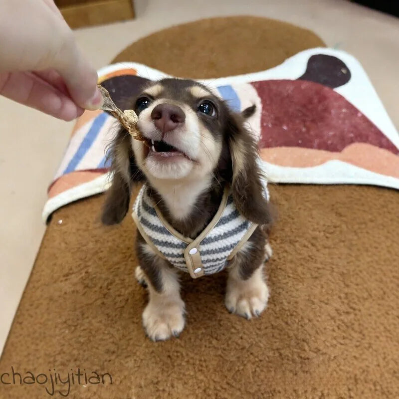 Striped Fleece Dog Vest — product view 5