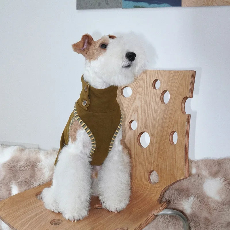 Contrast-Trim Dog Vest — product view 1