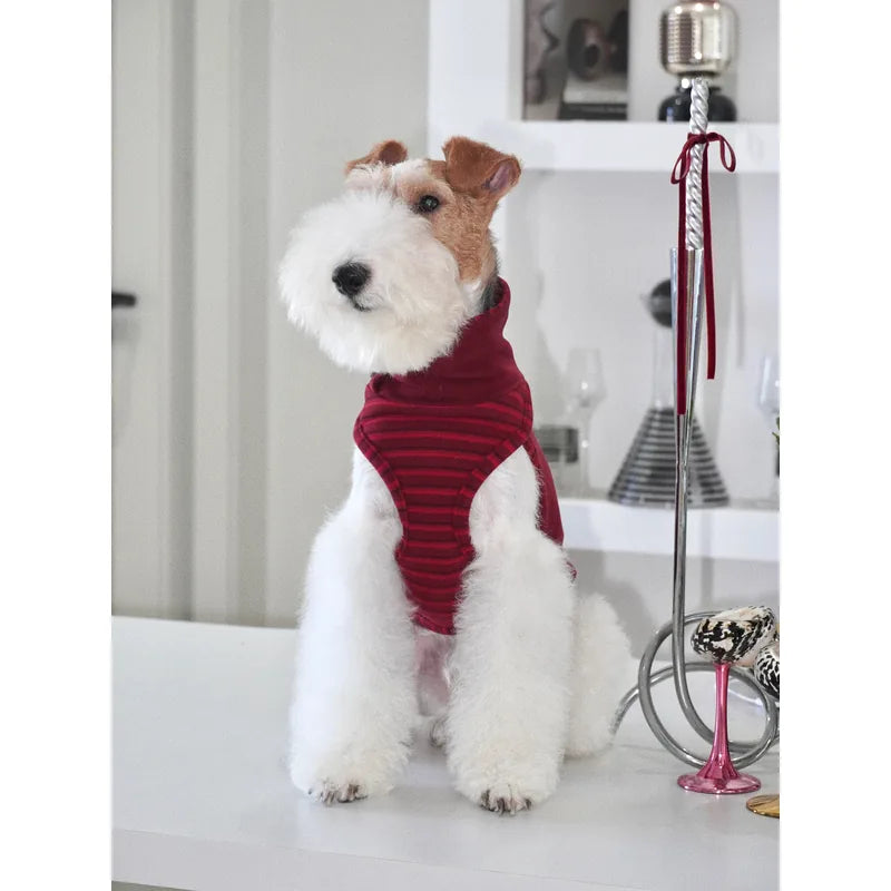 Contrast-Trim Dog Vest — product view 4