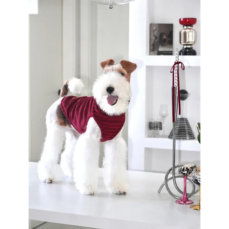 Contrast-Trim Dog Vest — product view 5
