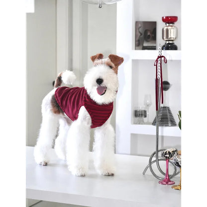 Contrast-Trim Dog Vest — product view 5