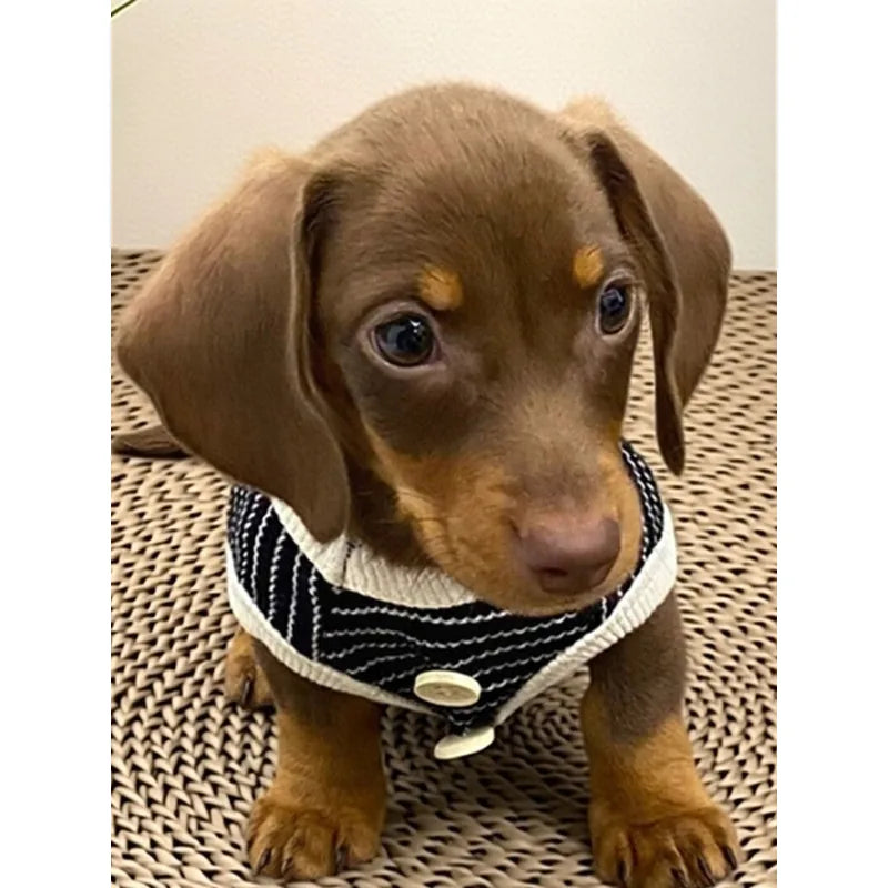 Fine-Stripe Dog Vest — product view 1