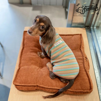 Striped Dachshund Vest — product view 3