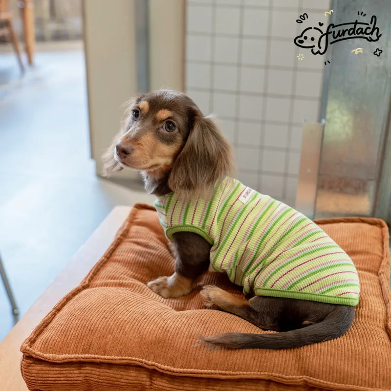 Striped Dachshund Vest — product view 5