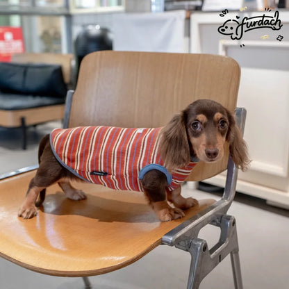 Striped Dachshund Vest — product view 10