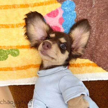 Sky Blue Dog Base Layer Shirt — product view 3