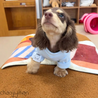 Sky Blue Dog Base Layer Shirt — product view 4