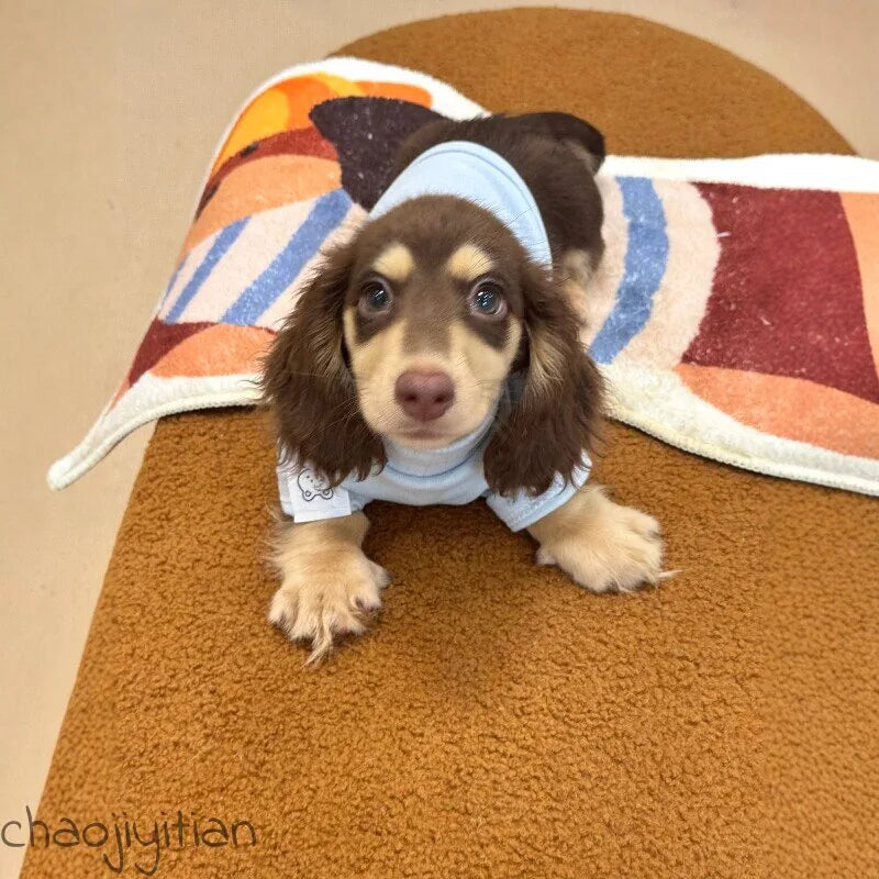 Sky Blue Dog Base Layer Shirt — product view 5