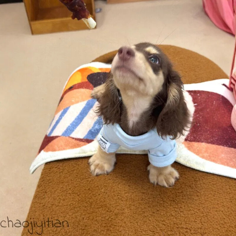 Sky Blue Dog Base Layer Shirt — product view 6