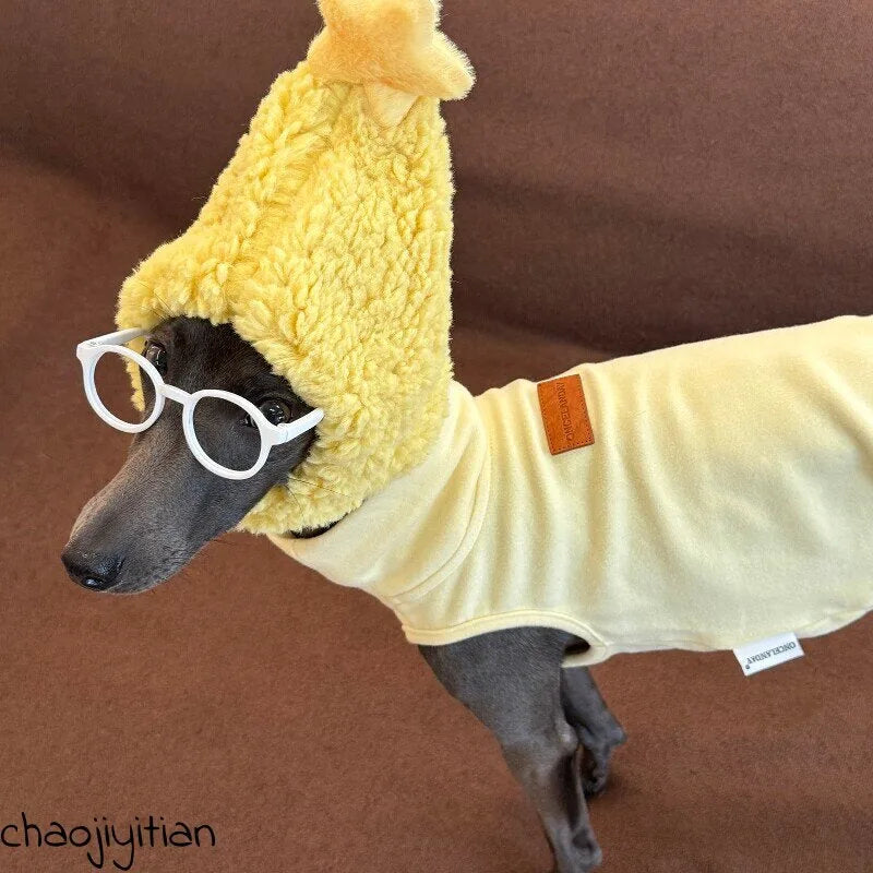Yellow Dog Shirt, Star Hat & Glasses Set — product view 2