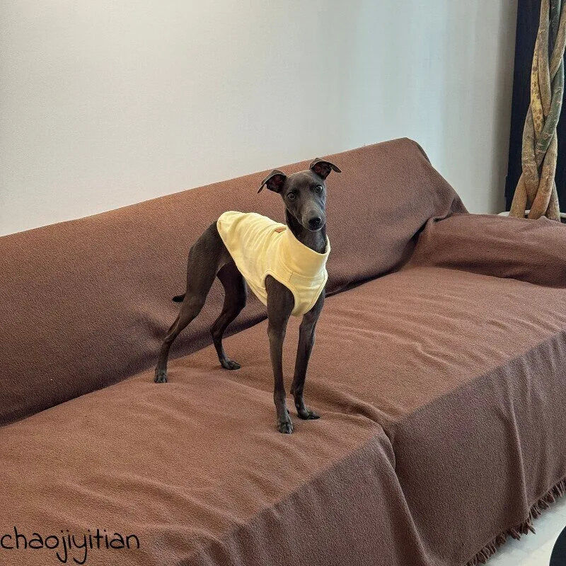 Yellow Dog Shirt, Star Hat & Glasses Set — product view 4