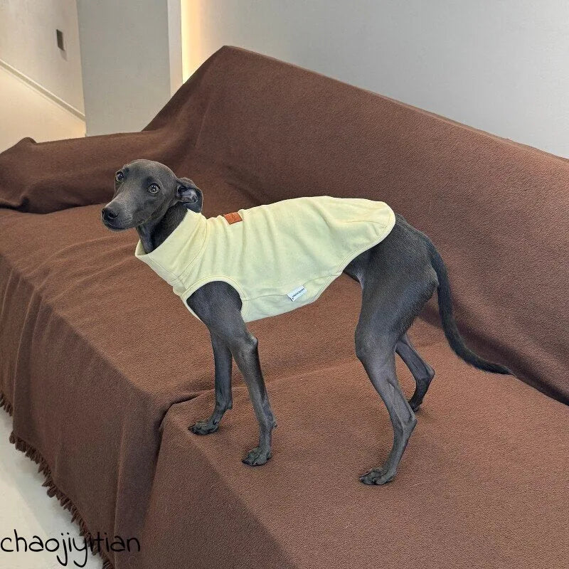 Yellow Dog Shirt, Star Hat & Glasses Set — product view 5