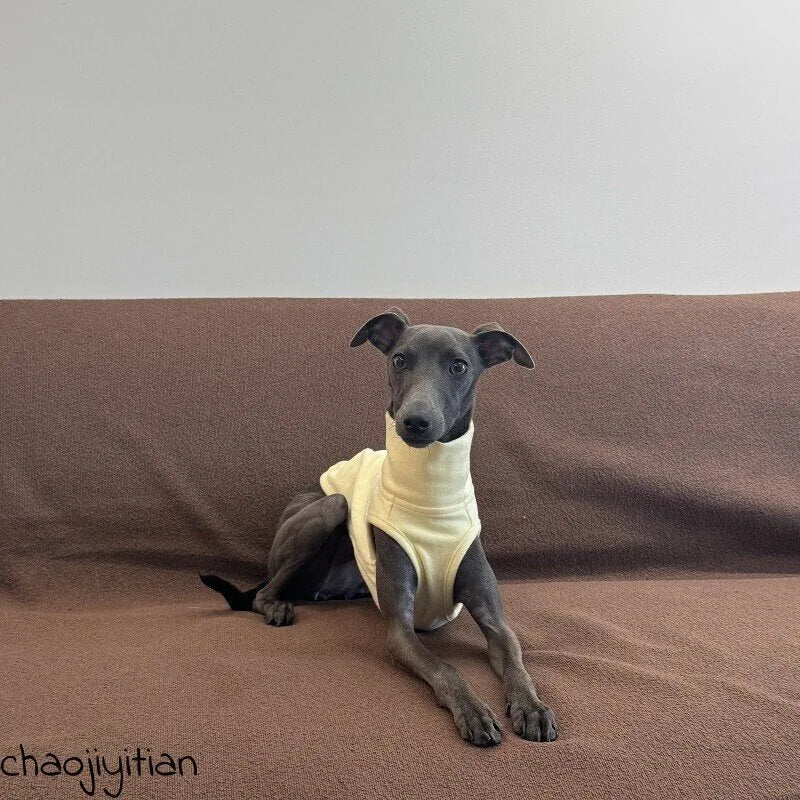 Yellow Dog Shirt, Star Hat & Glasses Set — product view 6