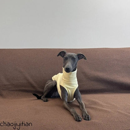 Yellow Dog Shirt, Star Hat & Glasses Set — product view 6